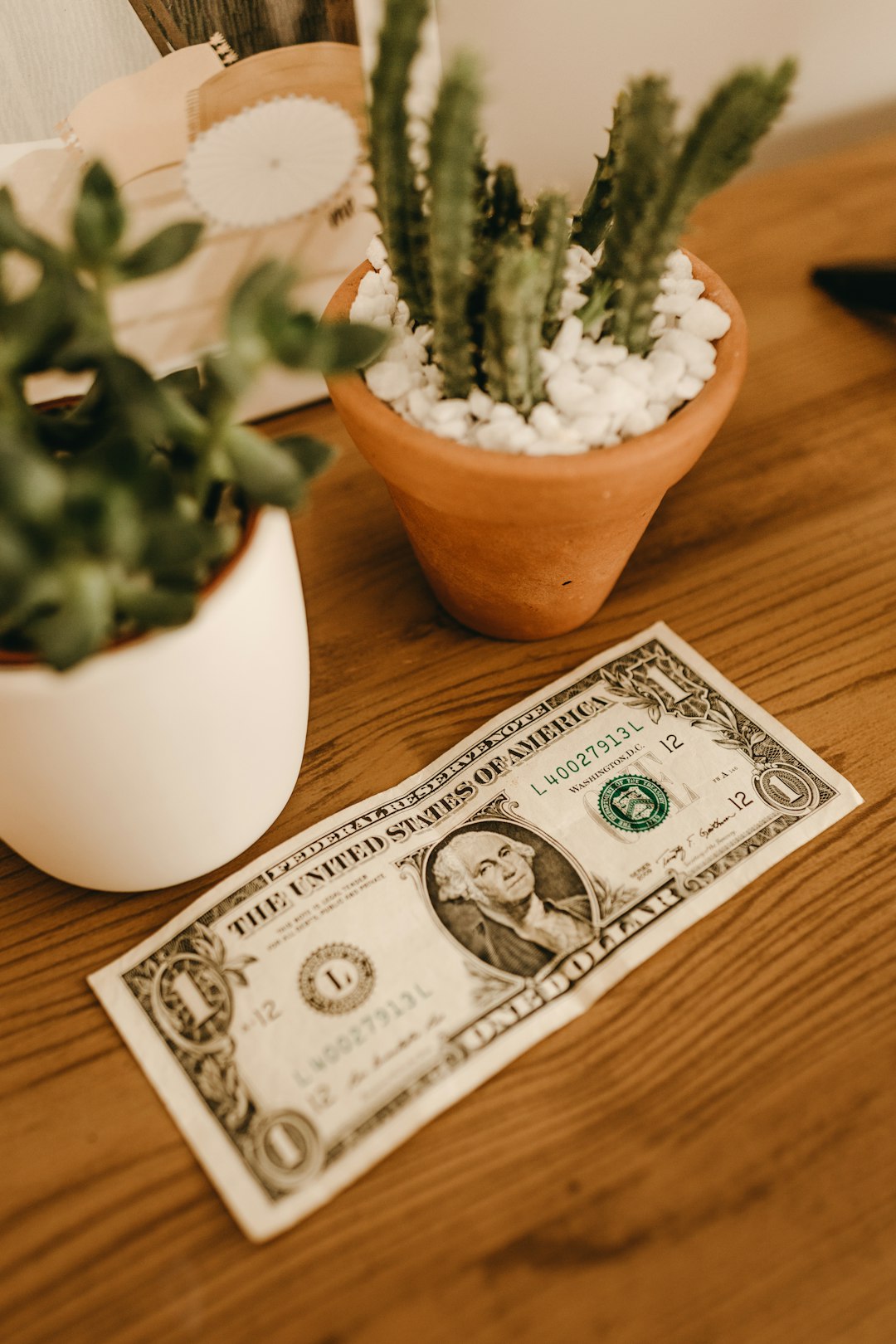 1-us-dollar-bill-1hobbxvmyrk